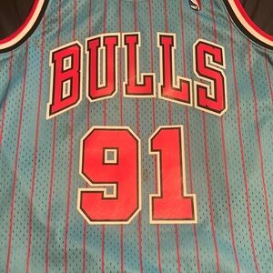 1995-1996 Dennis Rodman Blue Bulls Jersey